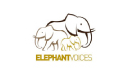 Elephant Voices